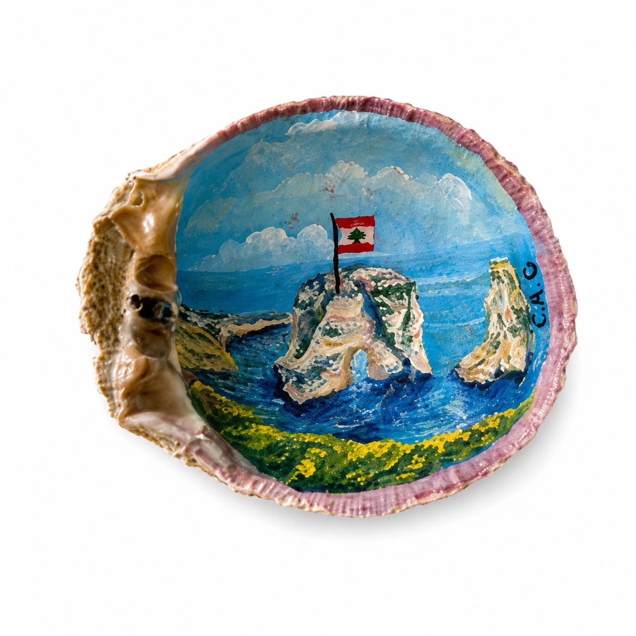 Raouché Seashell - Oil on Shell