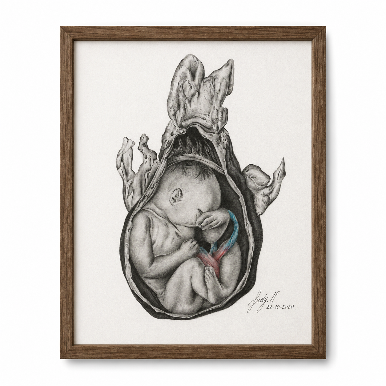 Unborn - Charcoal drawing